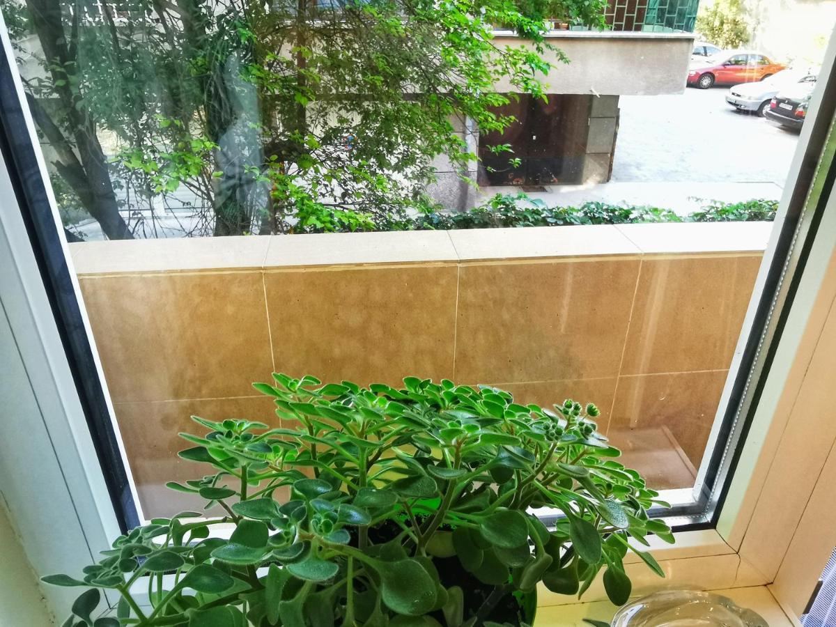 Rila Apartment *